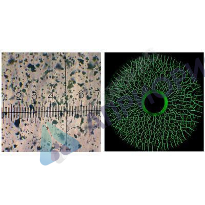 helling super magna ly 1500 концентрат